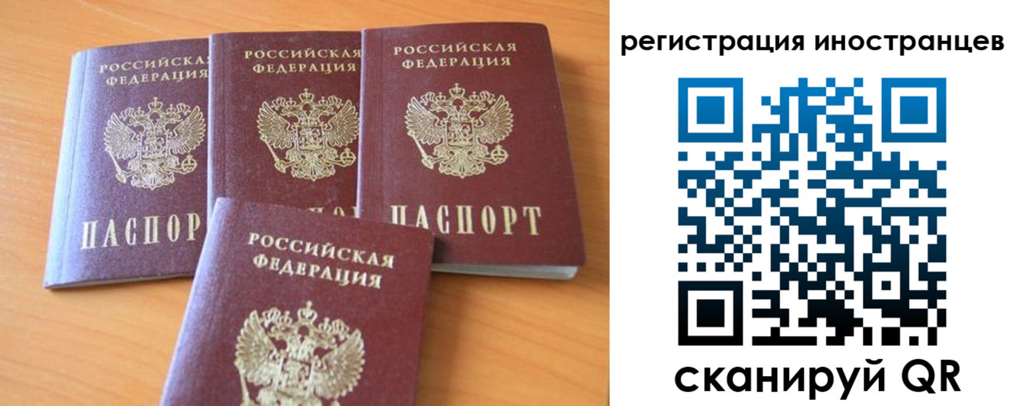 временная регистрация гарантия в Светлом